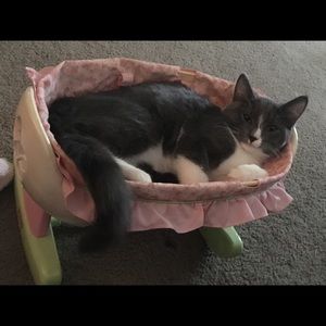 Meet your Posher, Shannon